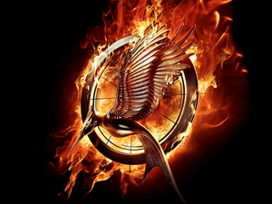 The Hunger Games: Catching Fire, Big Fire