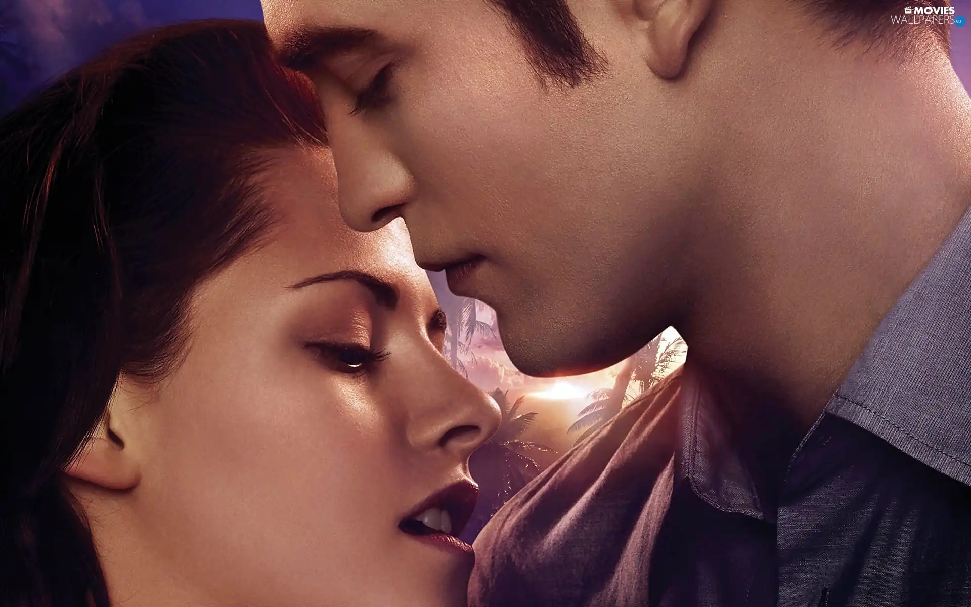 Twilight, Bella, twilight