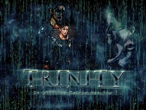 Carrie Anne Moss, Matrix, actress