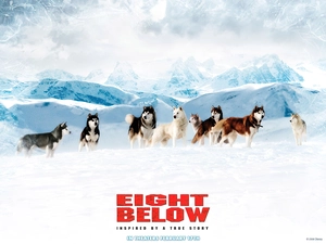 Antarctica, Eight Below