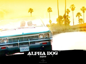 Palms, Alpha Dog, Automobile