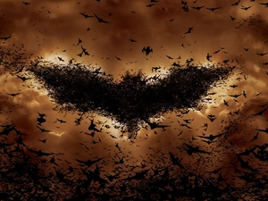 bats, Batman, Begins