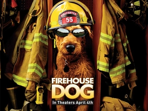 fireman, Firehouse Dog, dog