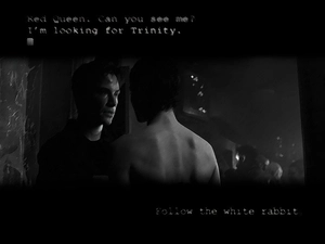 Characters, dark, shoulders, drag, back, Matrix