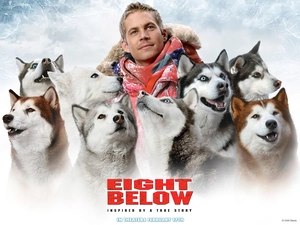 Dogs, Eight Below, Paul Walker