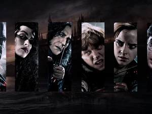 Harry Potter, Heroes