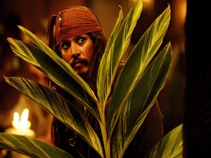 Leaf, piraci_z_karaibow_2, Johnny Depp