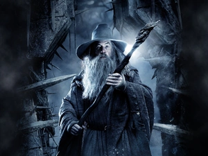 Hobbit, Gandalf, Ian McKellen, Smaug desolation