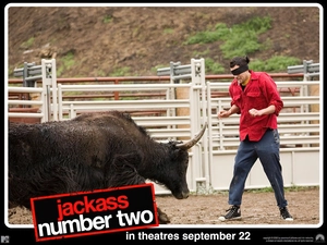 a man, Jackass Number Two, Bull