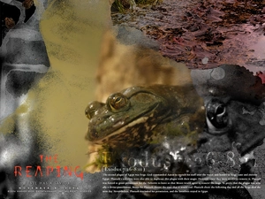 Reaping, water, Frogs, plague