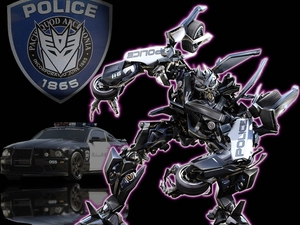 police, Autobot