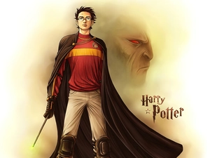 twig, magician, Harry Potter