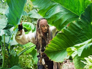 Jack Sparrow, Pirate, scrub