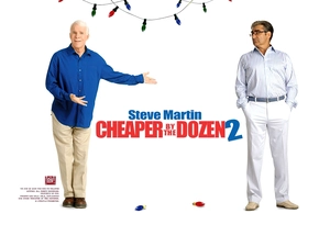 Steve Martin, Cheaper By The Dozen 2, a man