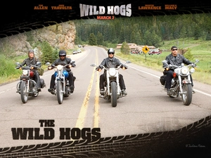 motorcyclists, Wild Hogs, Street