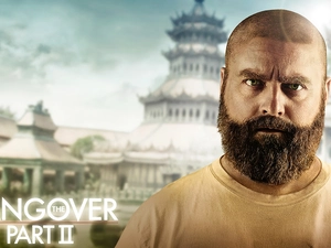 Zach Galifianakis, Kac Vegas 2, Alan