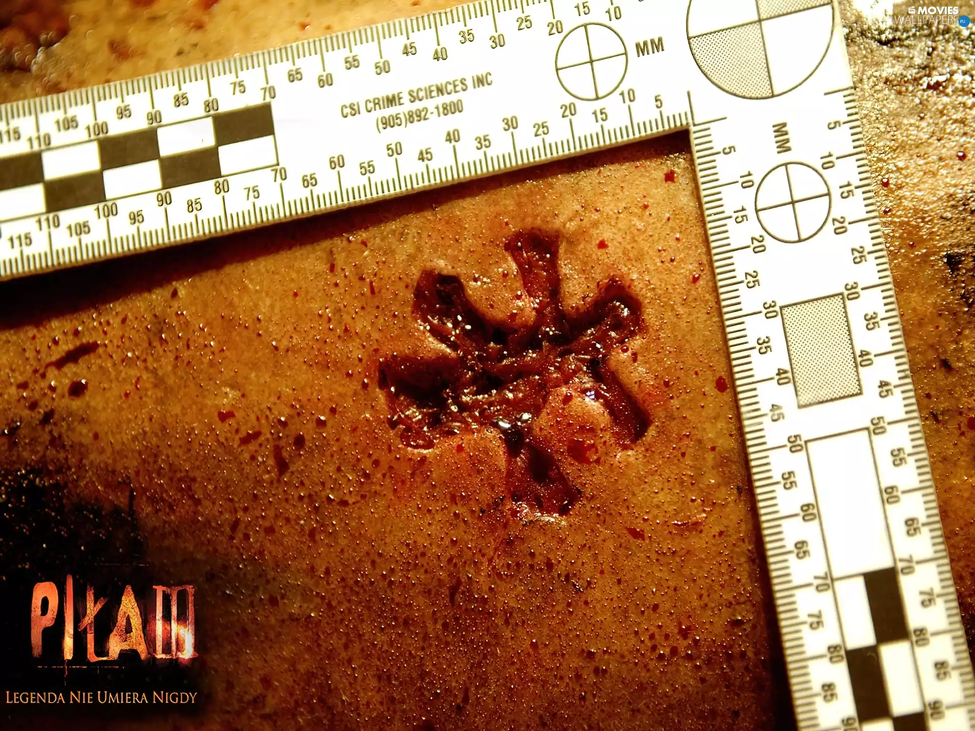 saw 3, Body, ruler, stamp