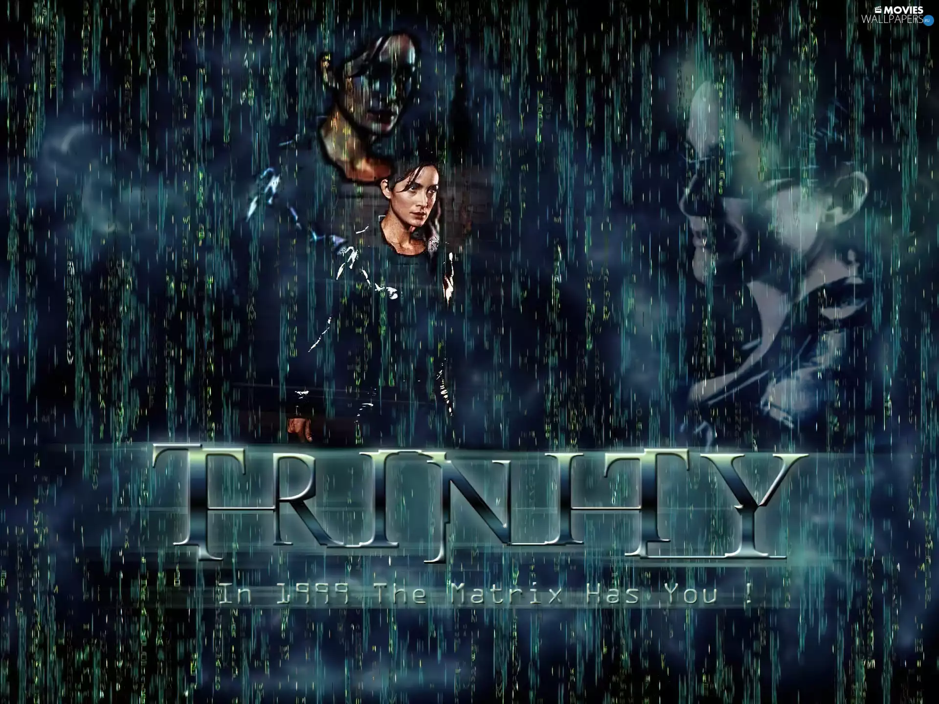 Carrie Anne Moss, Matrix, actress