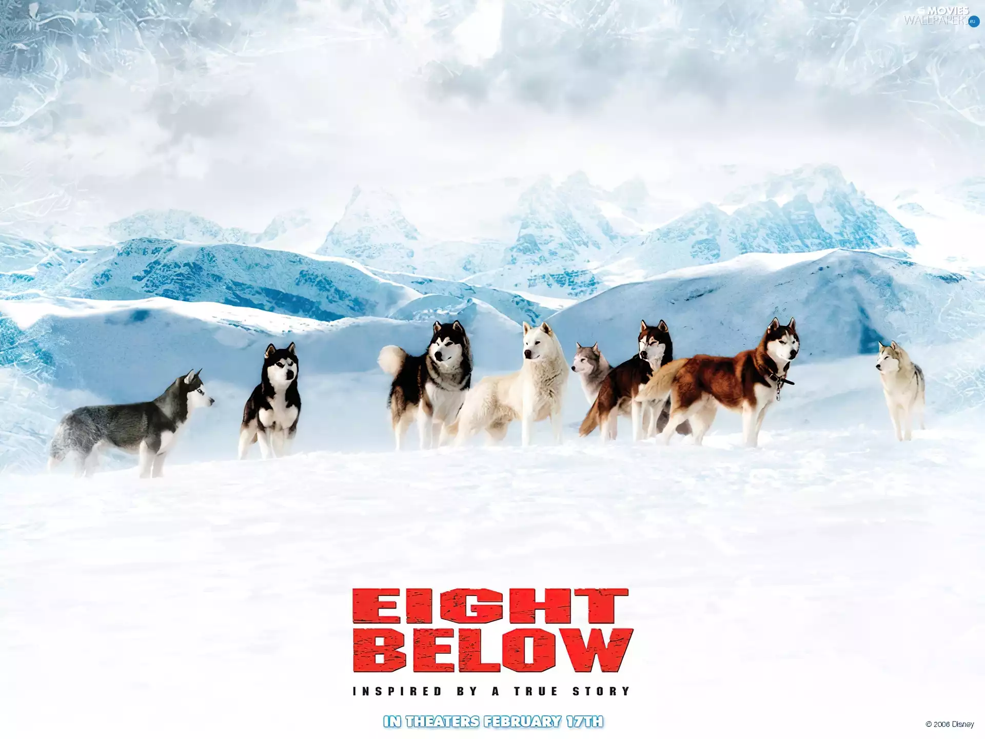 Antarctica, Eight Below