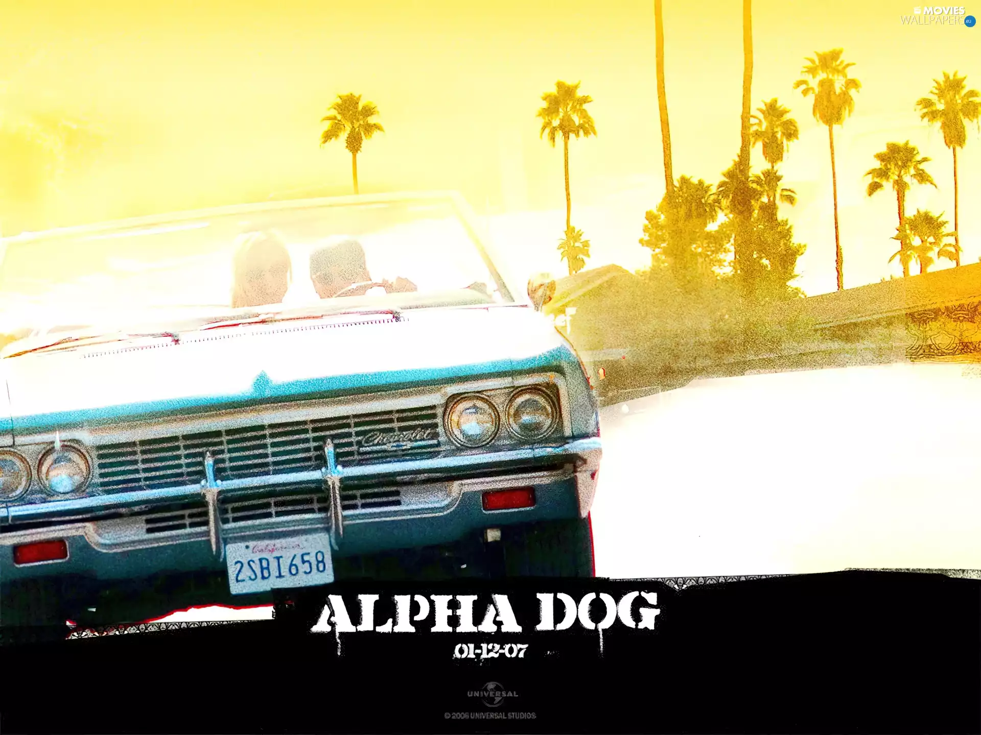 Palms, Alpha Dog, Automobile