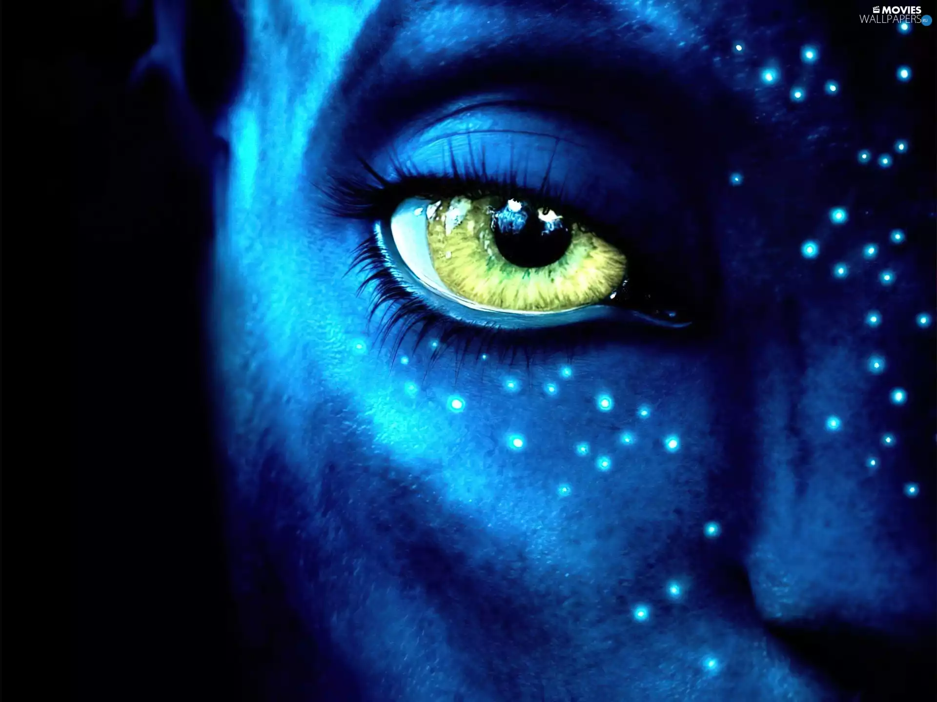Avatar, eye