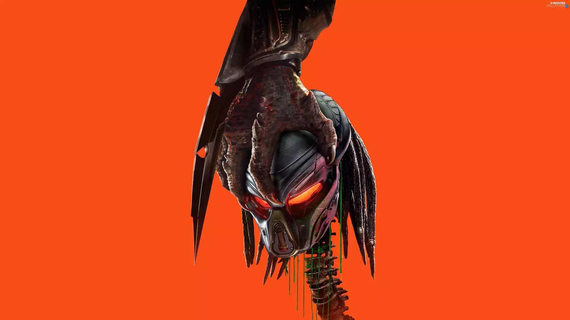 Orange, background, Predator, skull, movie