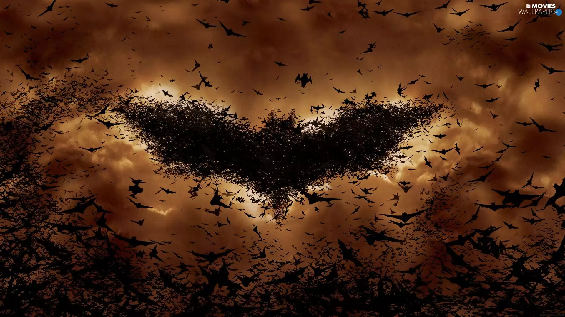 bats, Batman, Begins