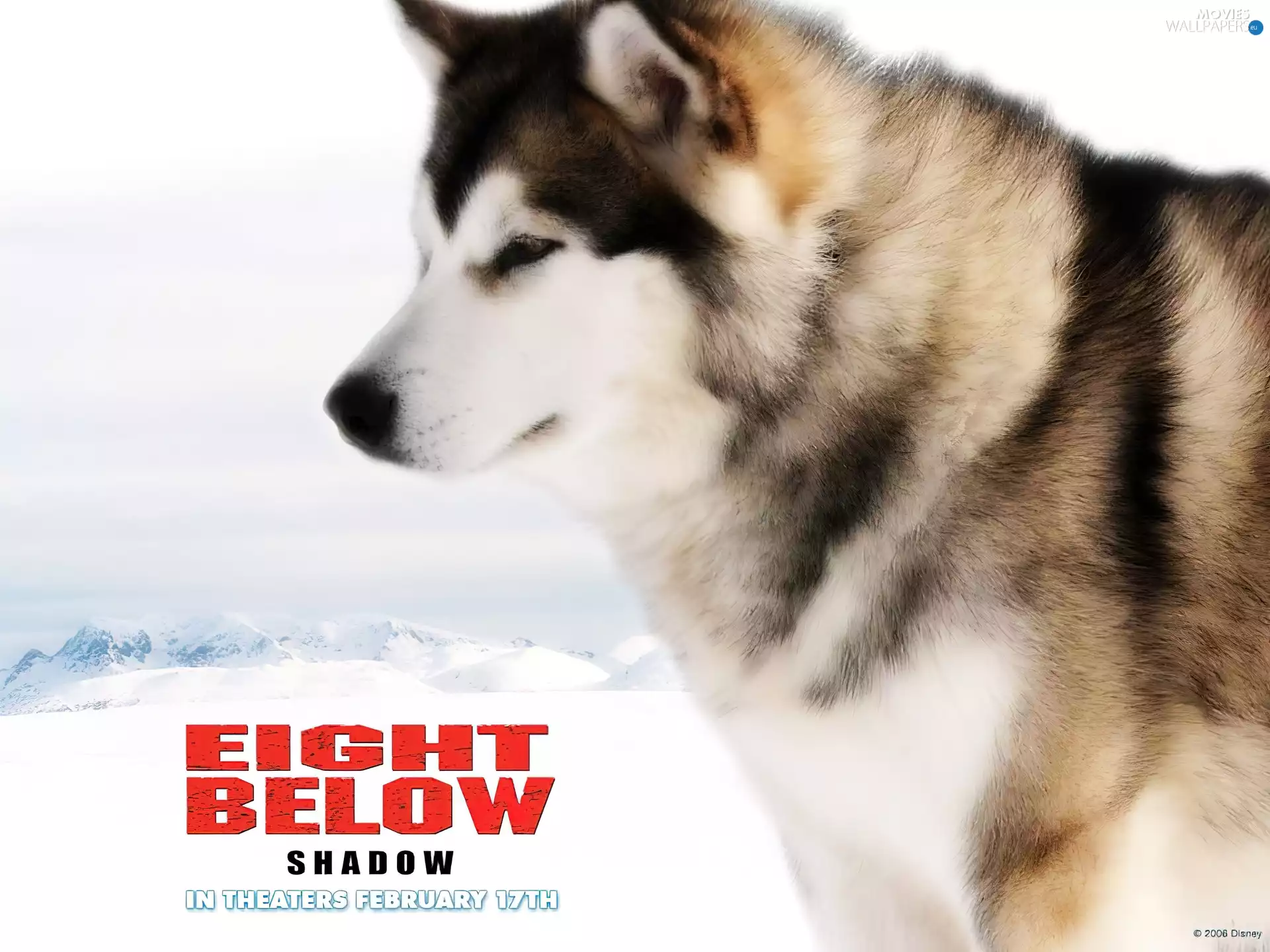 Eight Below, sledge, winter, dog