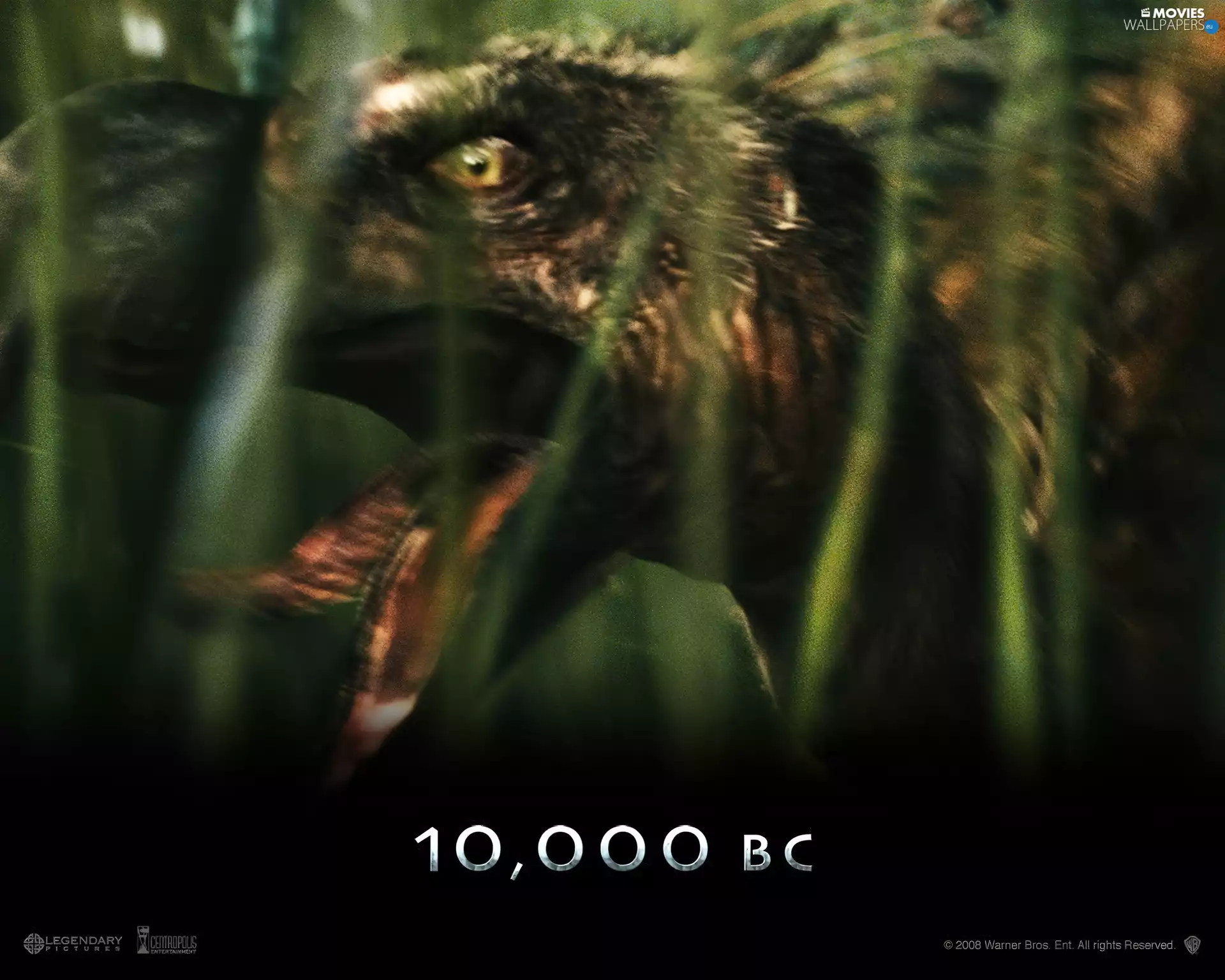 Tounge, 10000 Bc, Bird