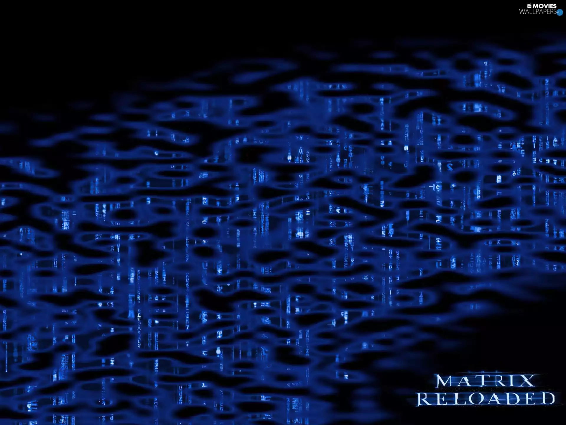 Matrix, spots, text, Black