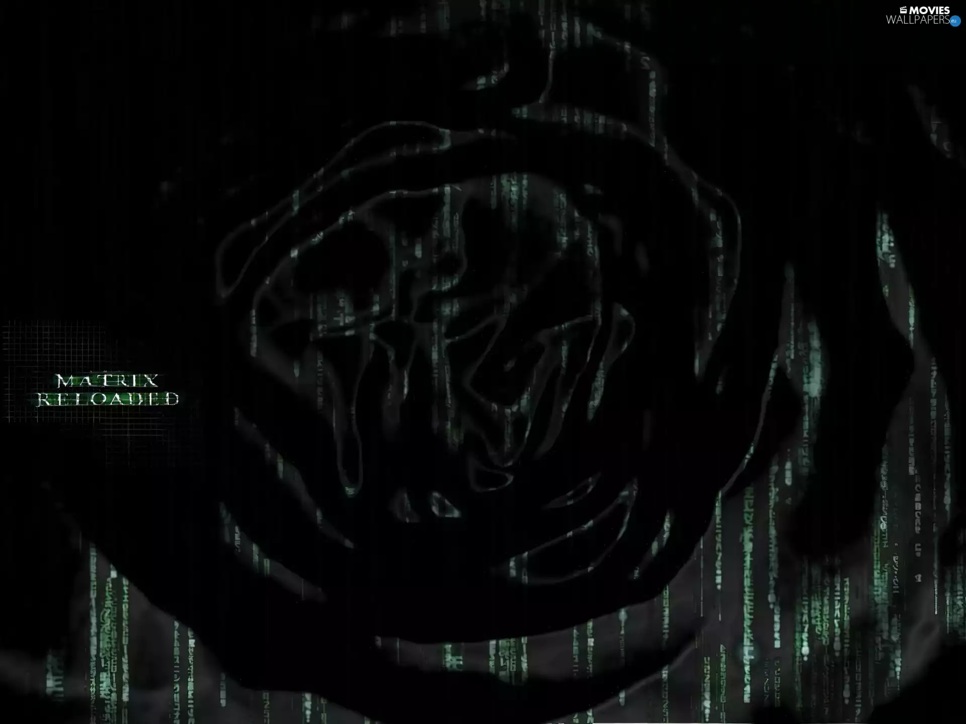 Matrix, spots, text, Black