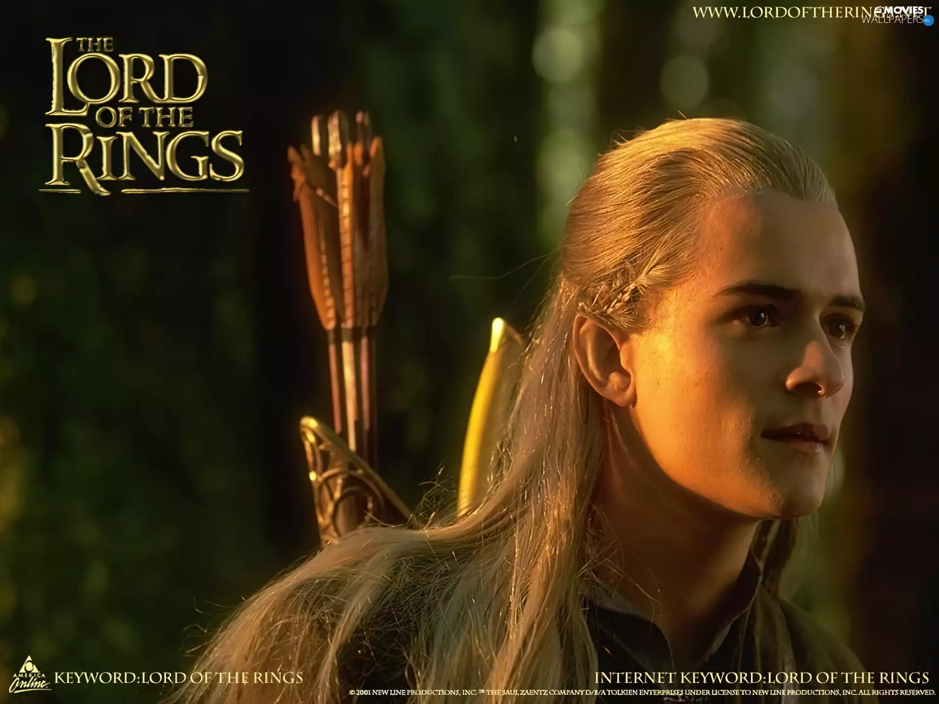 The Lord of The Rings, arrows, text, blonde