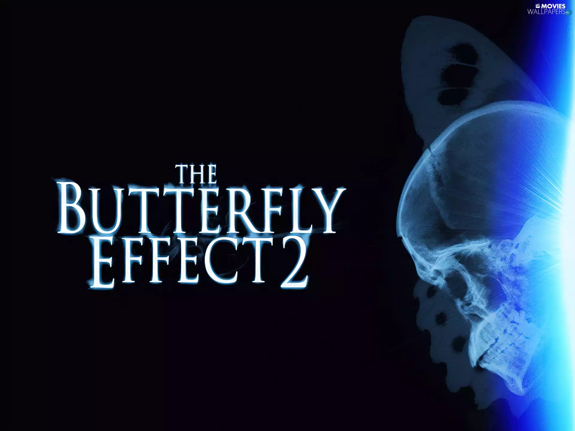 text, Butterfly Effect 2, skull