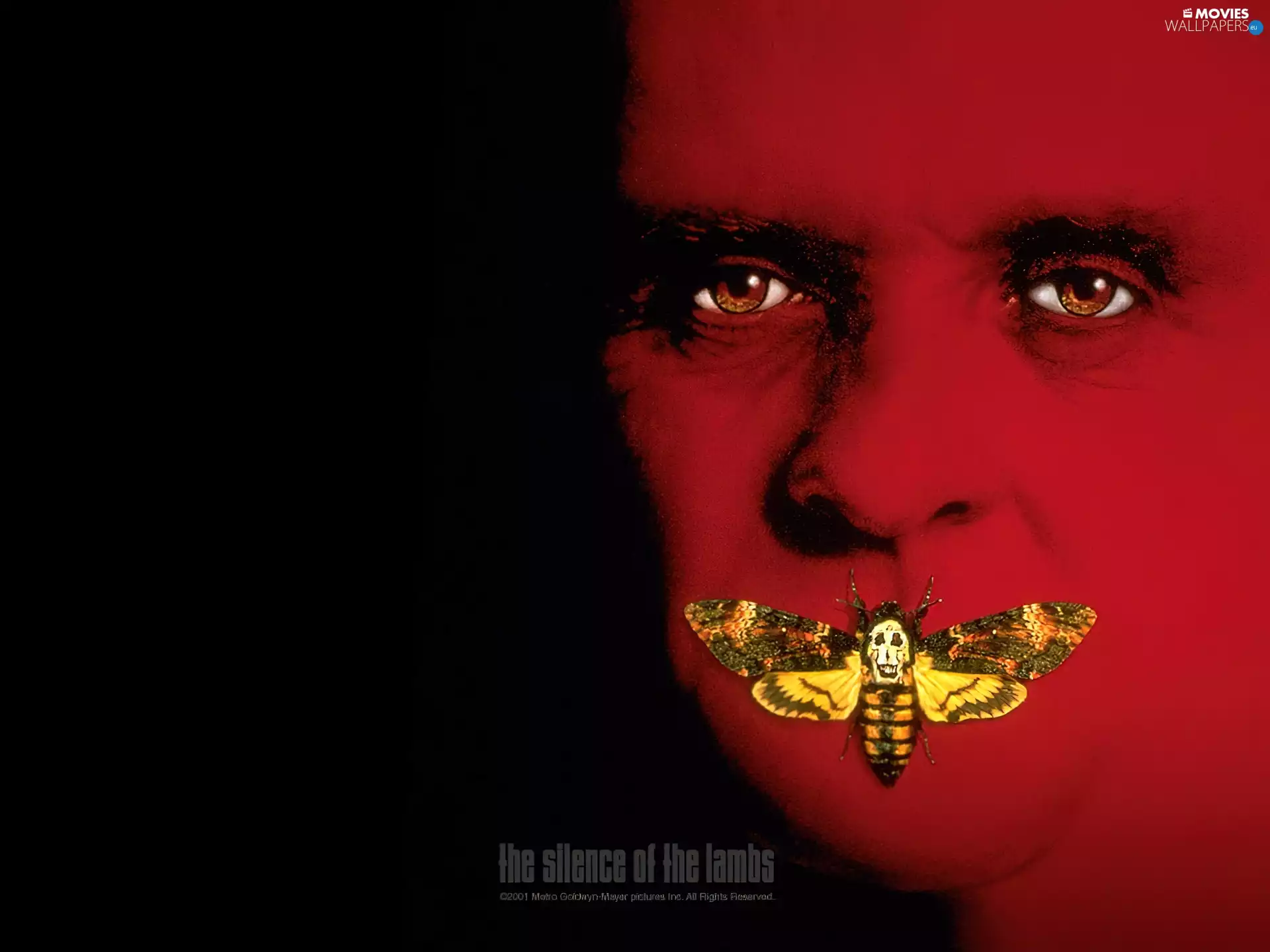 butterfly, Insect, face, wrinkles, the silence of the lumbs