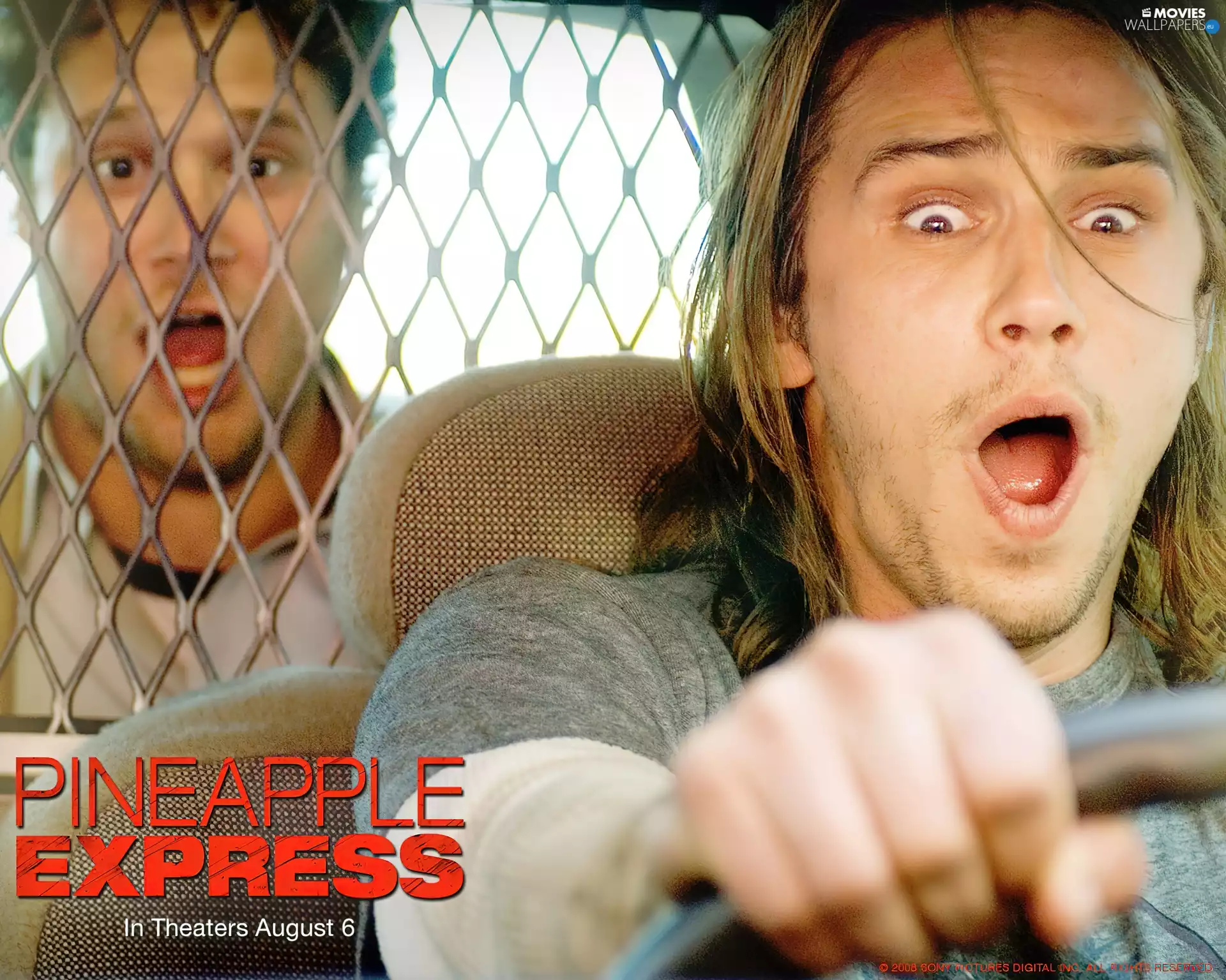 comedy, Pineapple Express