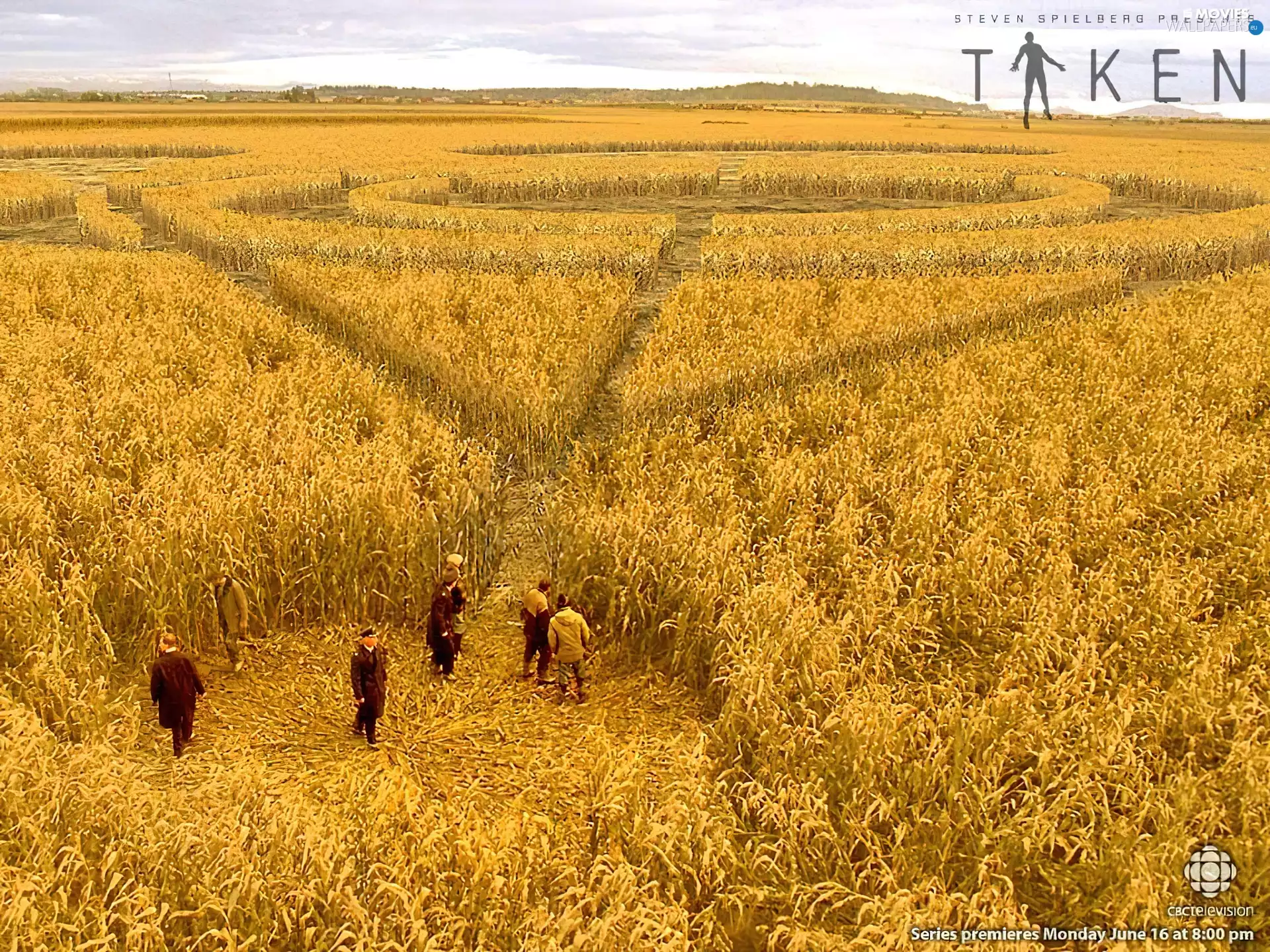 People, phenomenon, Field, corn, Film Taken