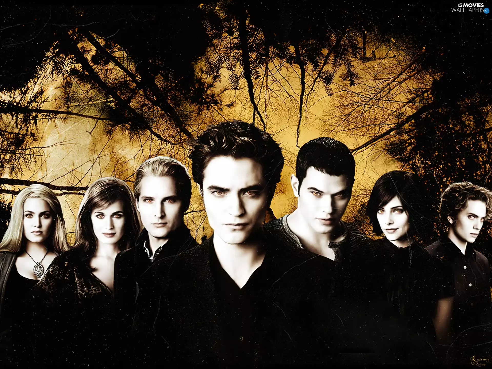 Cullenów, twilight, Family