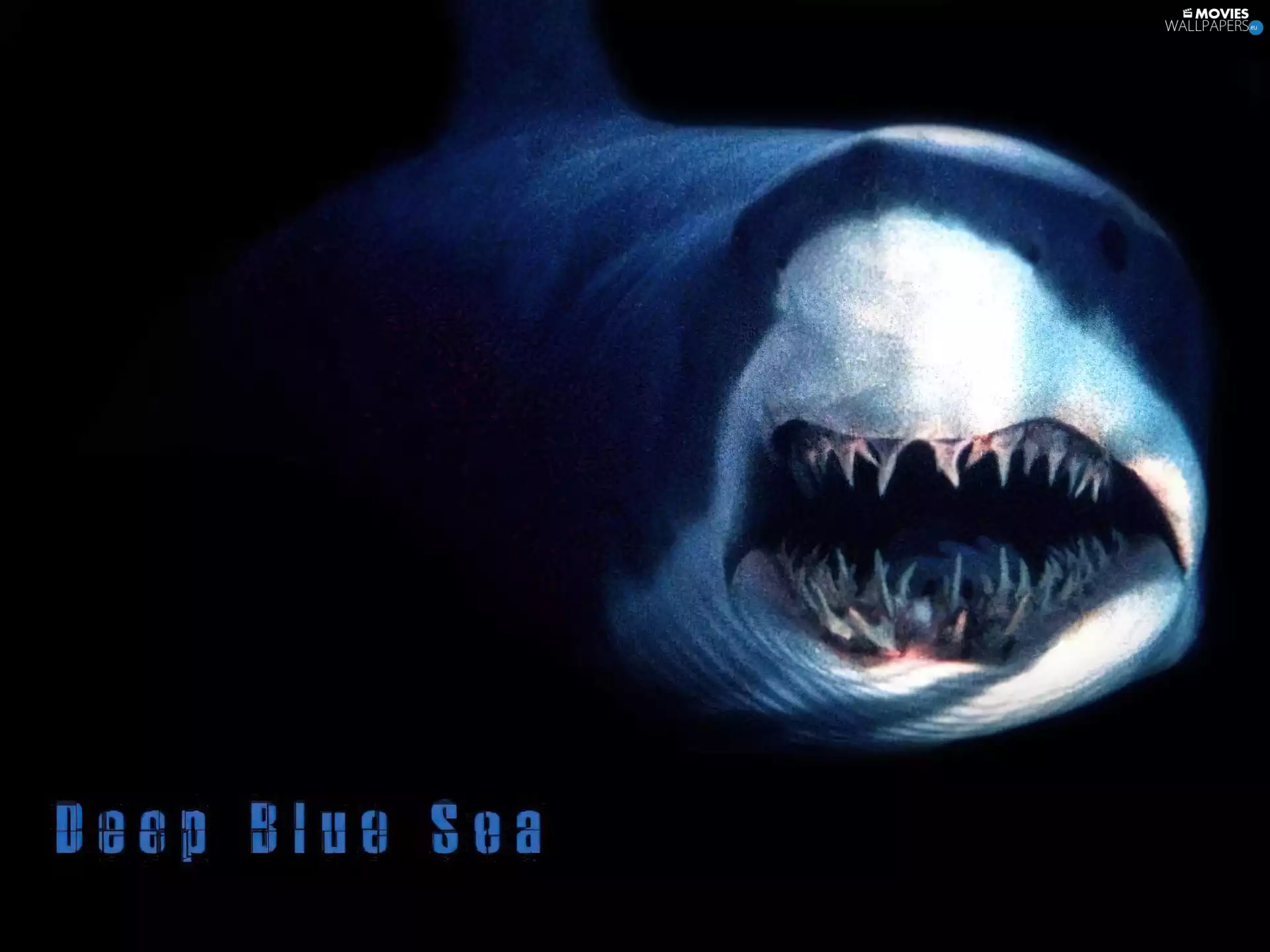 jaw, Deep Blue Sea, shark