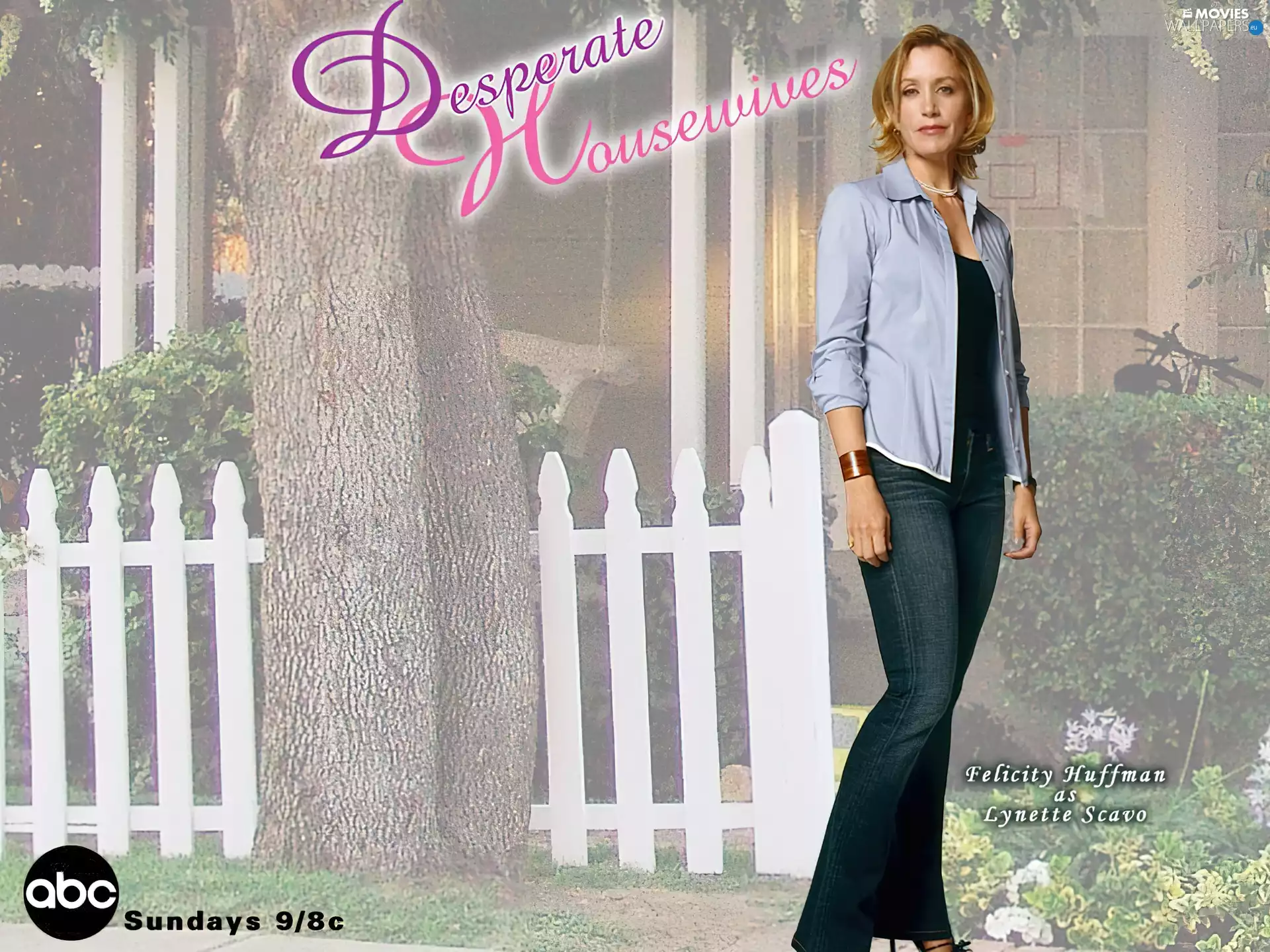 trees, Desperate Housewives, Felicity Huffman