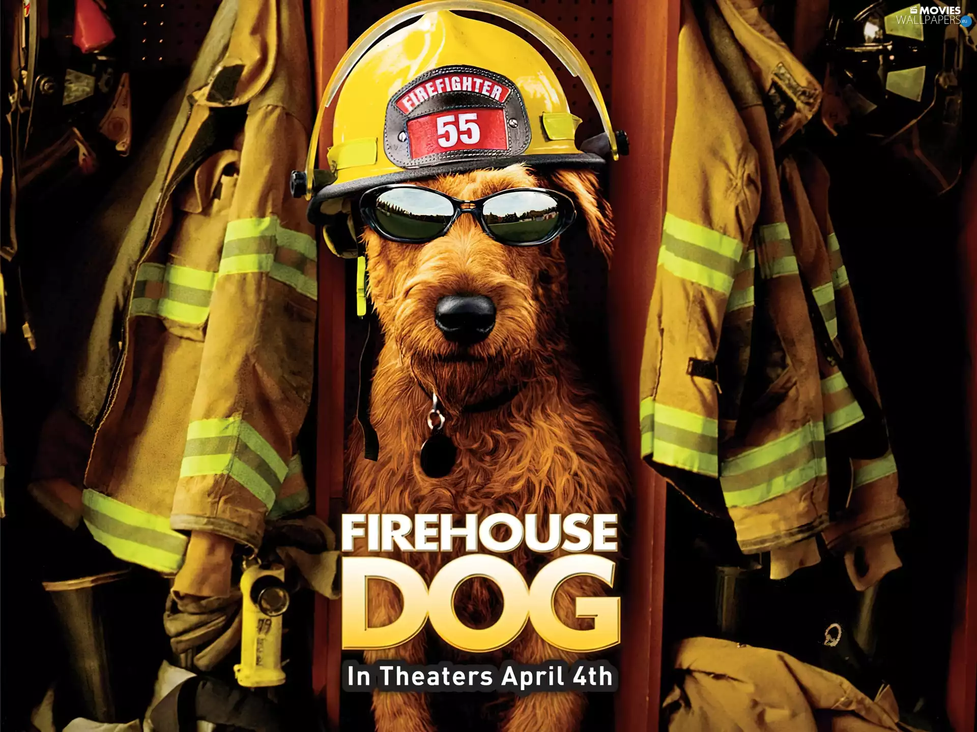 fireman, Firehouse Dog, dog