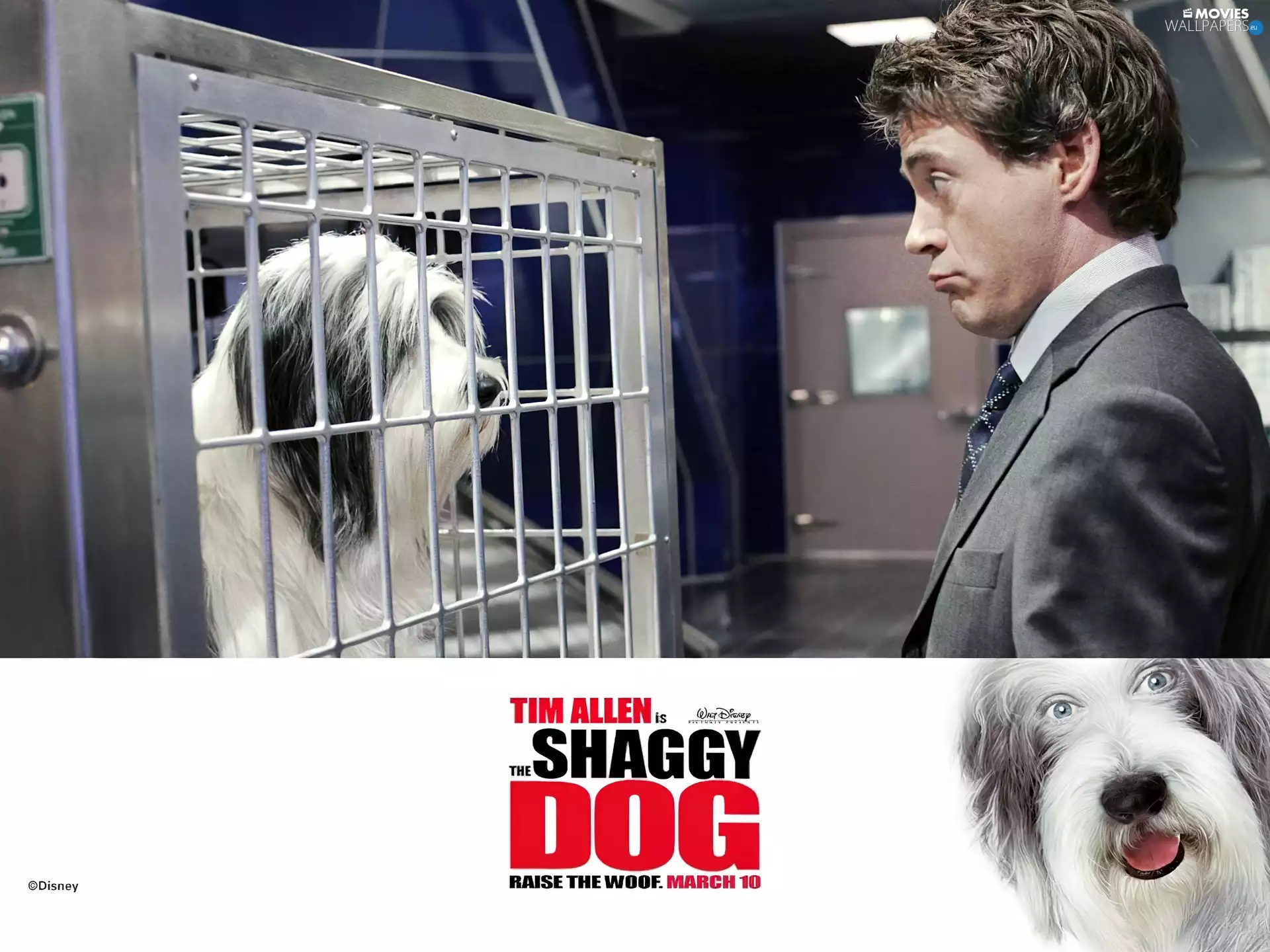 Cage, a man, hostel, dog, The Shaggy Dog
