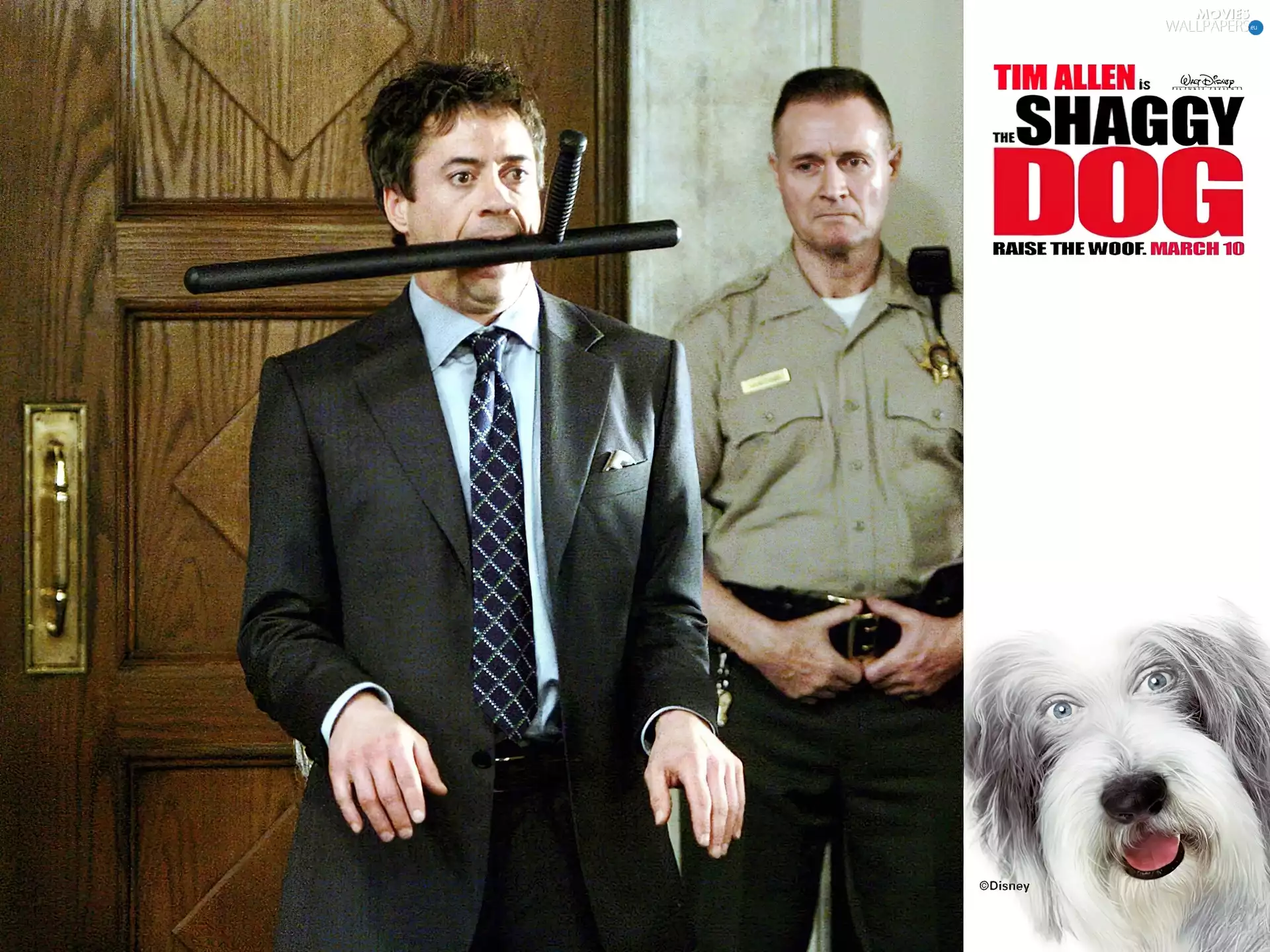 police officer, suite, stick, dog, The Shaggy Dog