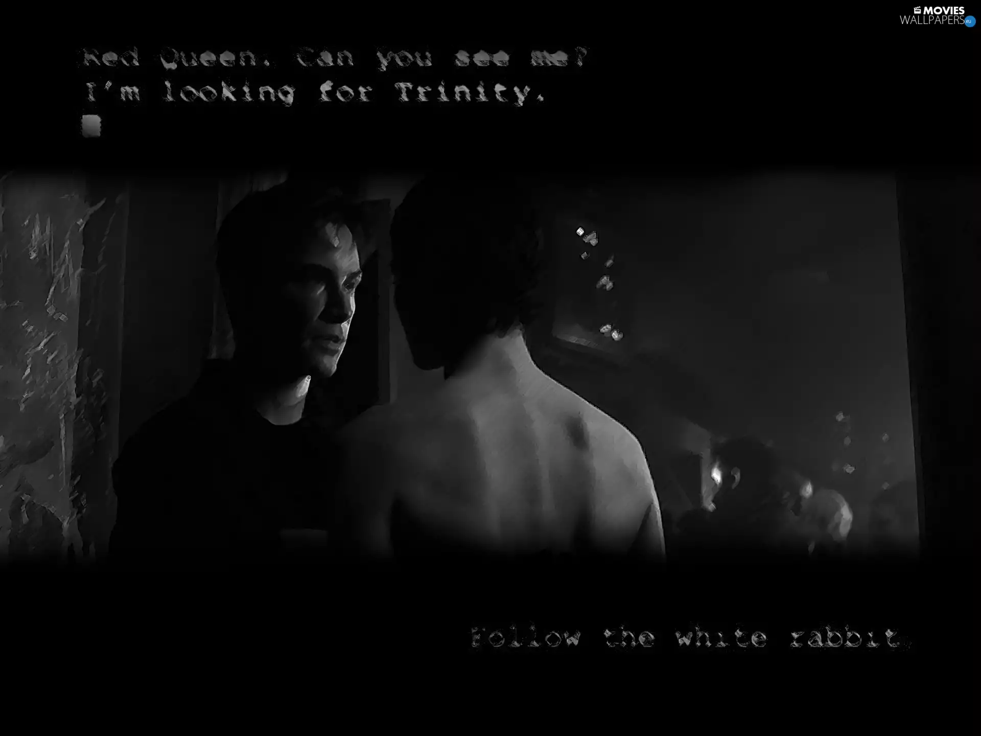 Characters, dark, shoulders, drag, back, Matrix