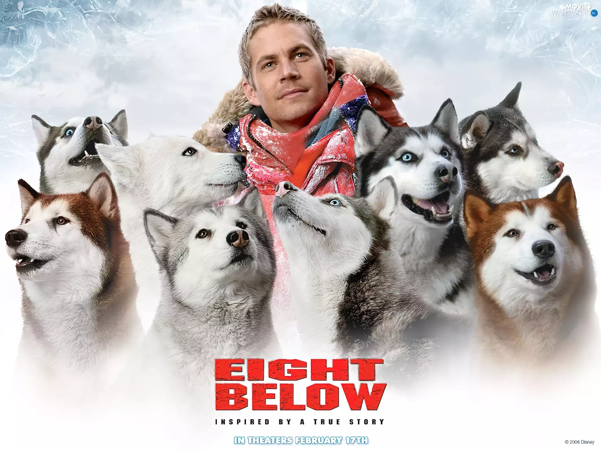 Dogs, Eight Below, Paul Walker