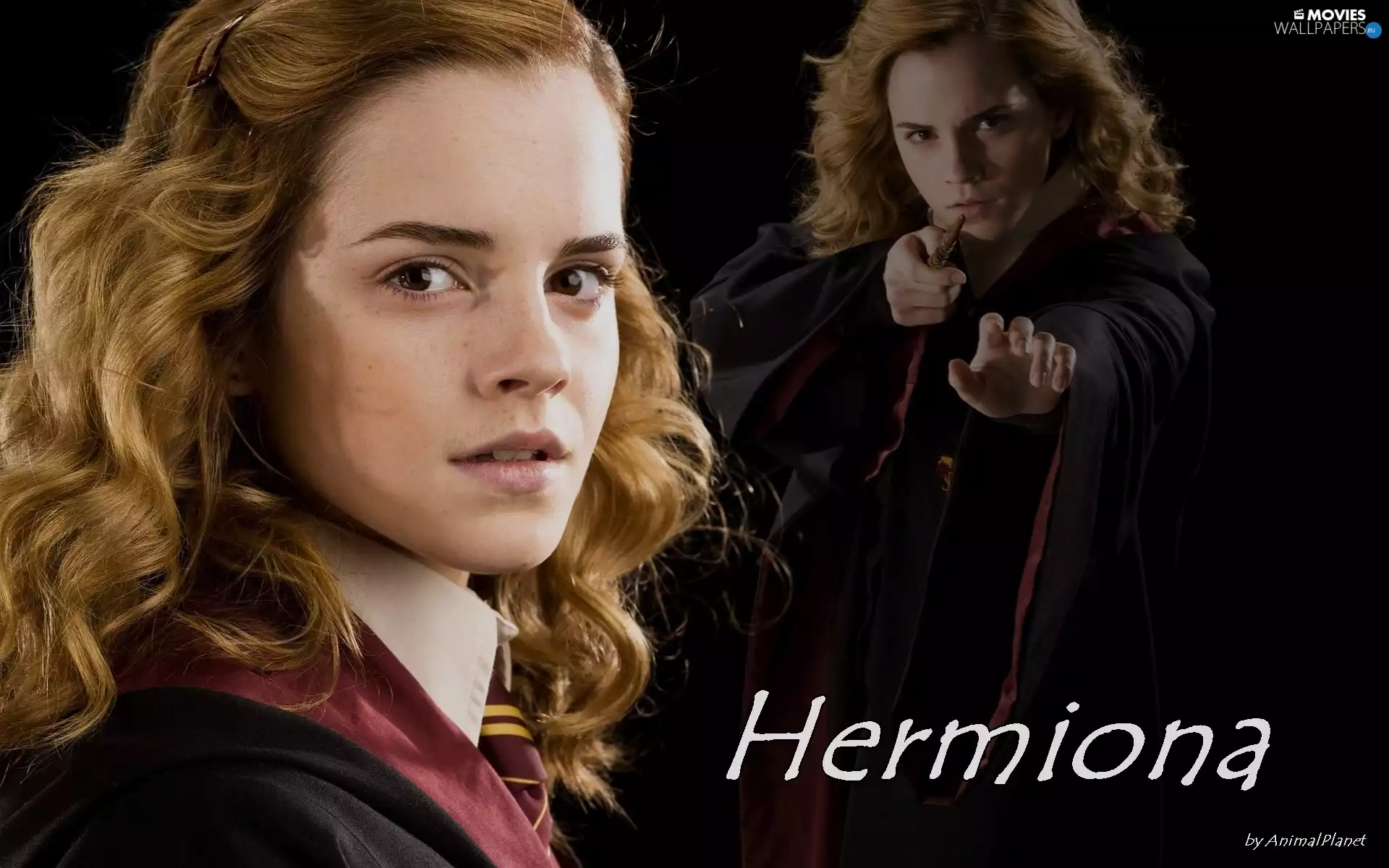 Watson, actress, Harry, Emma, Women, movie, Potter