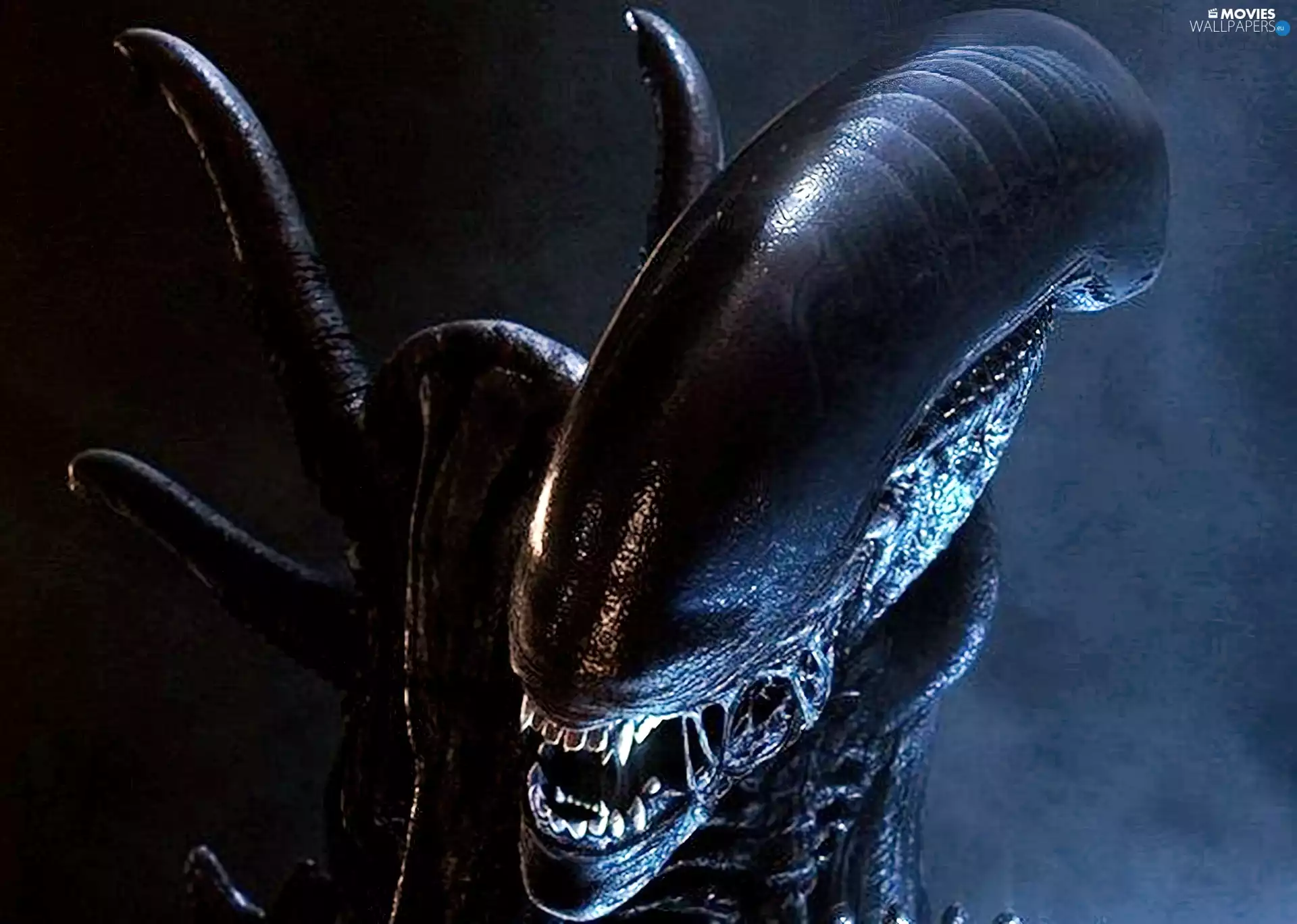 encounter, alien, crucial