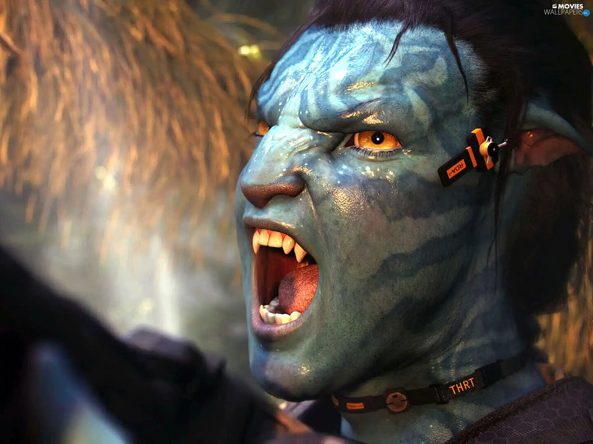Avatar Face Movies Wallpapers 1600x1200