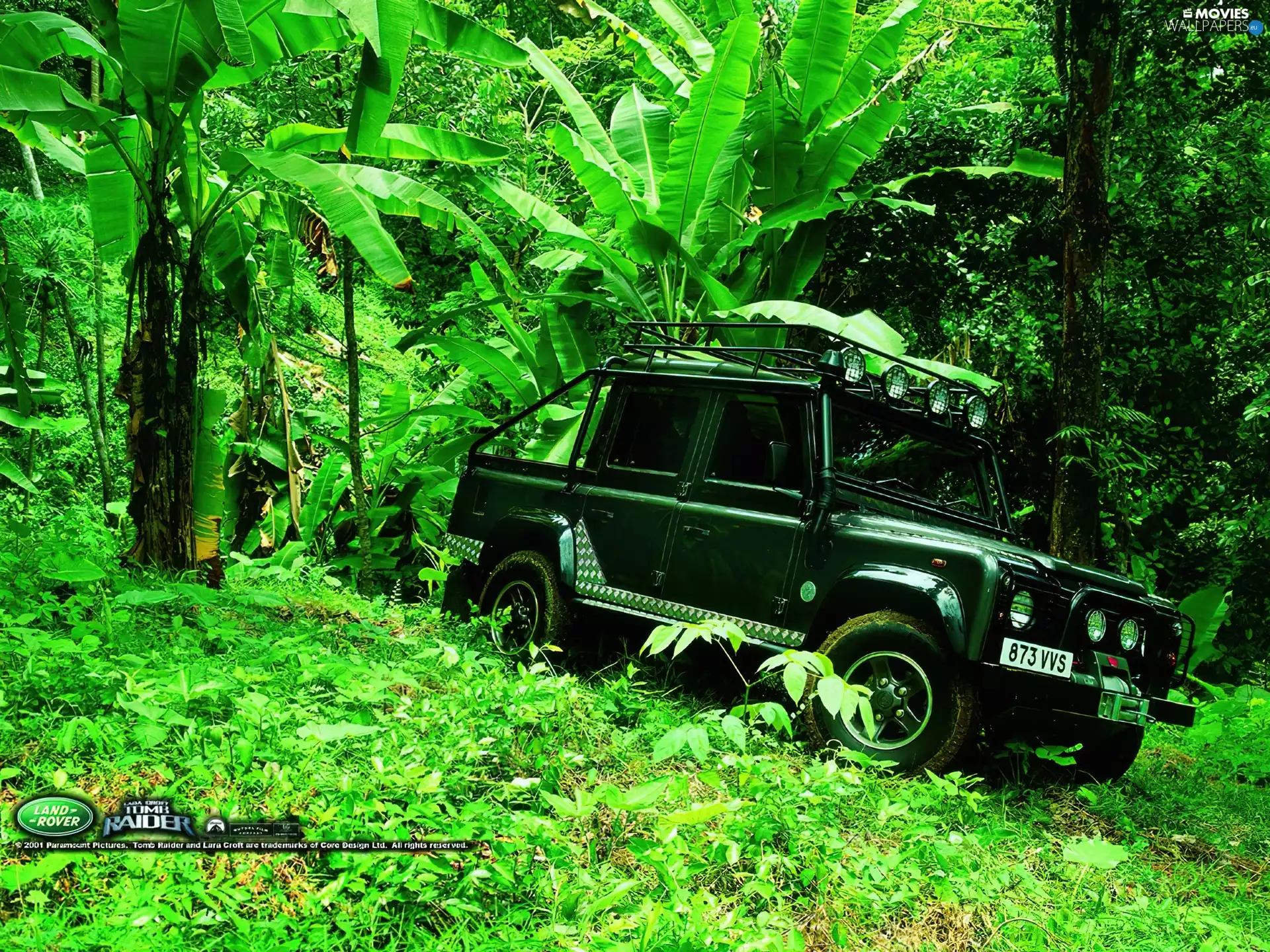 jungle, Film Tomb Raider, Automobile