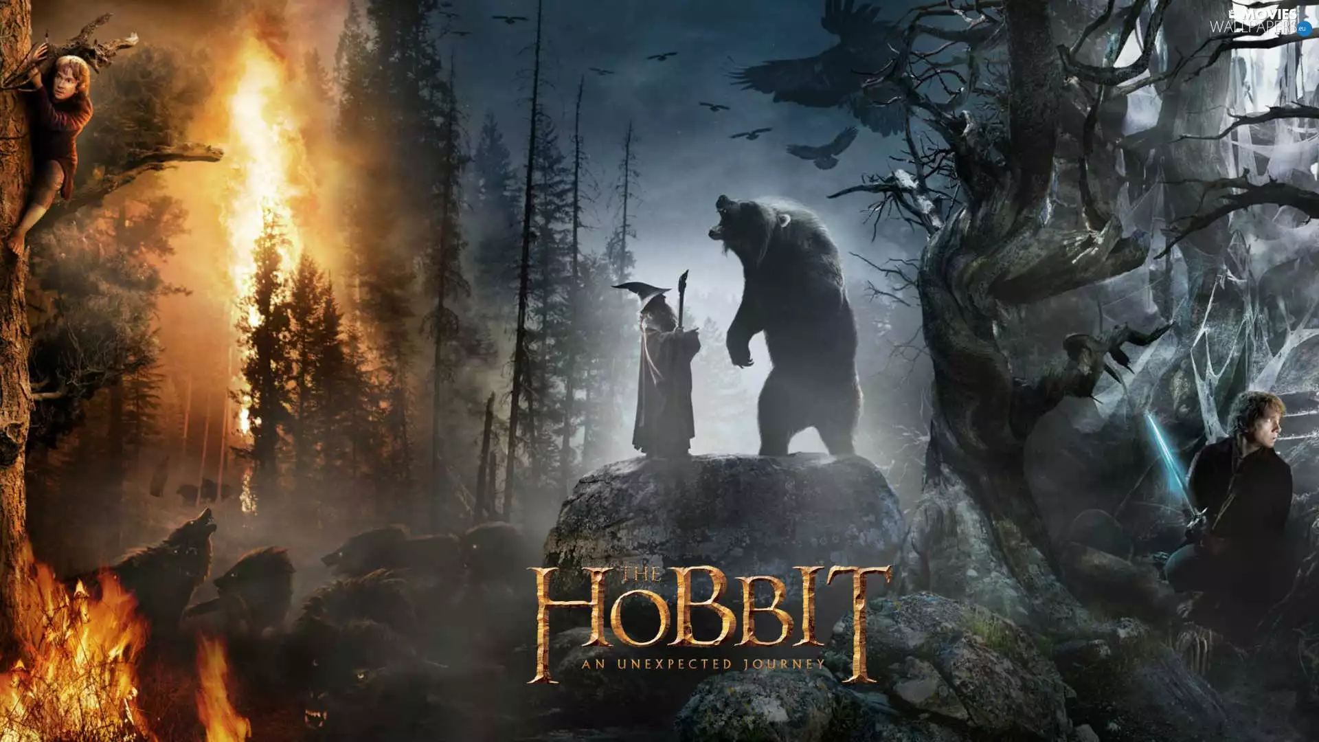 Hobbit, Gandalf, Bilbo, Smaug desolation