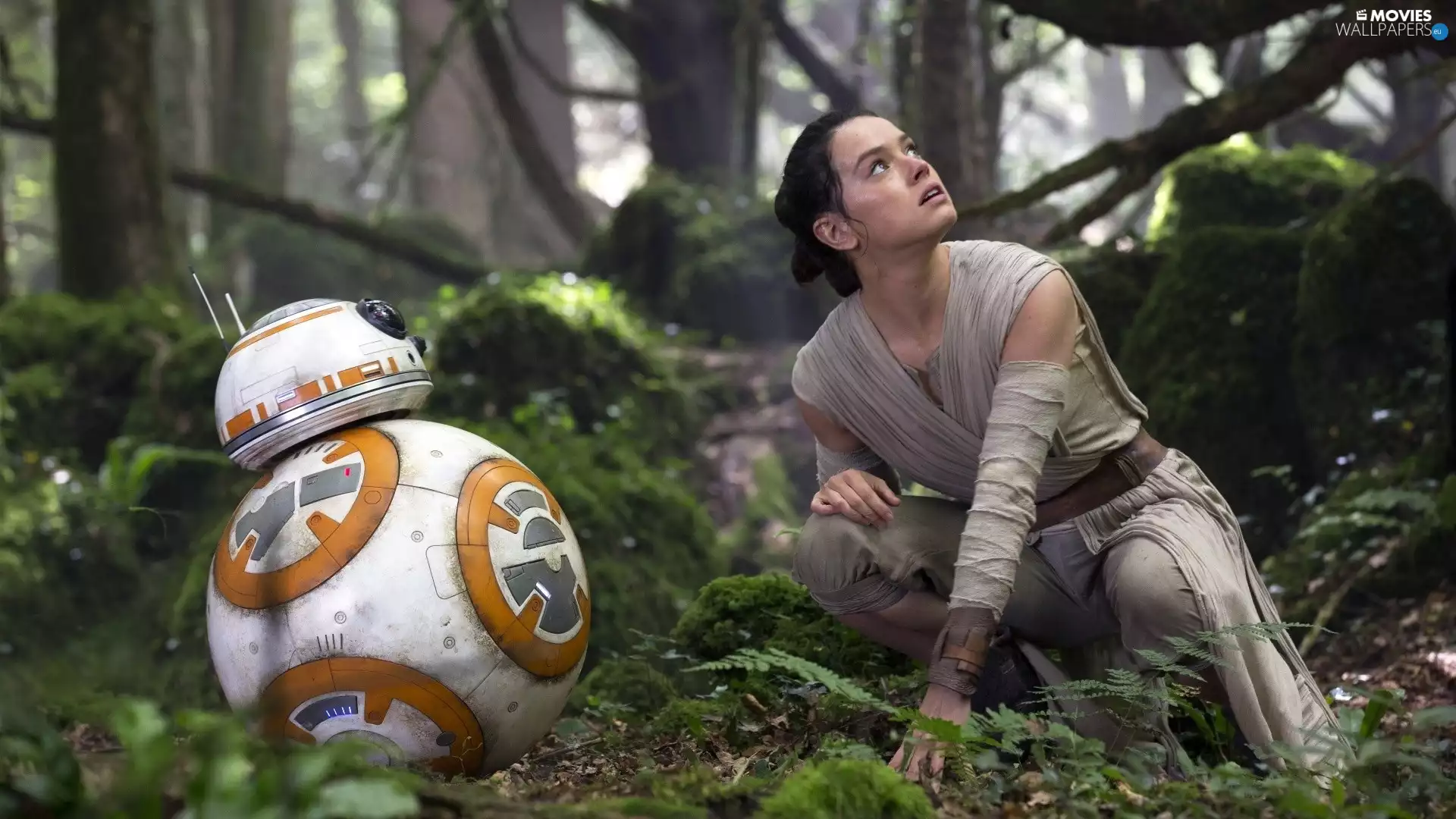 Daisy Ridley, Robot, movie, Star wars, actress, girl